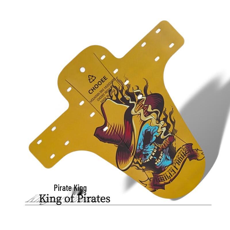 Lishi Bicycle Mudguard Set