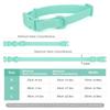 Candy Color PVC Dog Collar Adjustable Pet Large Cat Necklace Collars for Small Medium Big Dog