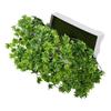 Easy Maintenance Artificial Flower Mini Bonsai Plastic Plant Realistic Design