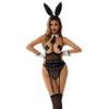 2025 New Mesh See-through Roleplay Bunny Girl Lingerie Underwear Adult Lady Naugty Night Cosplay Costumes Fliter Bodysuit