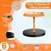 Chick Brooder Plate Adjustable Temperature Chick Brooder Heating Plate Chick Heat Plate for Hatching Chicken Quail Duck Eggs