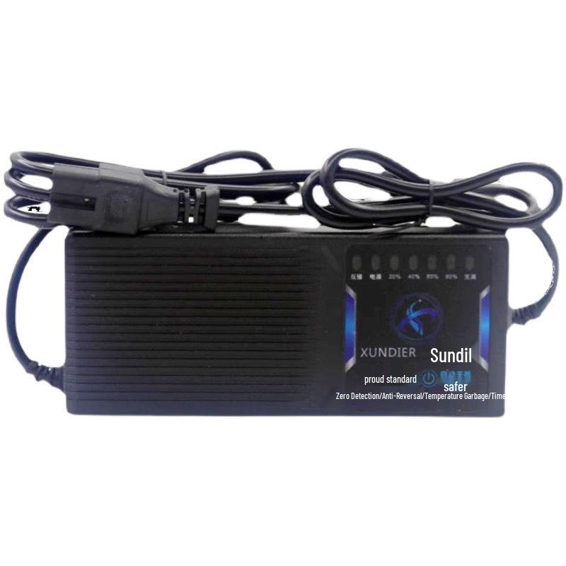 48V/60V/72V Automatic Battery Disconnect Charger - 32A/35A/40A for Electric Vehicles, 60V Fast Charge