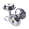 XINBODA Commercial Electroplated Cast Iron Dumbbell