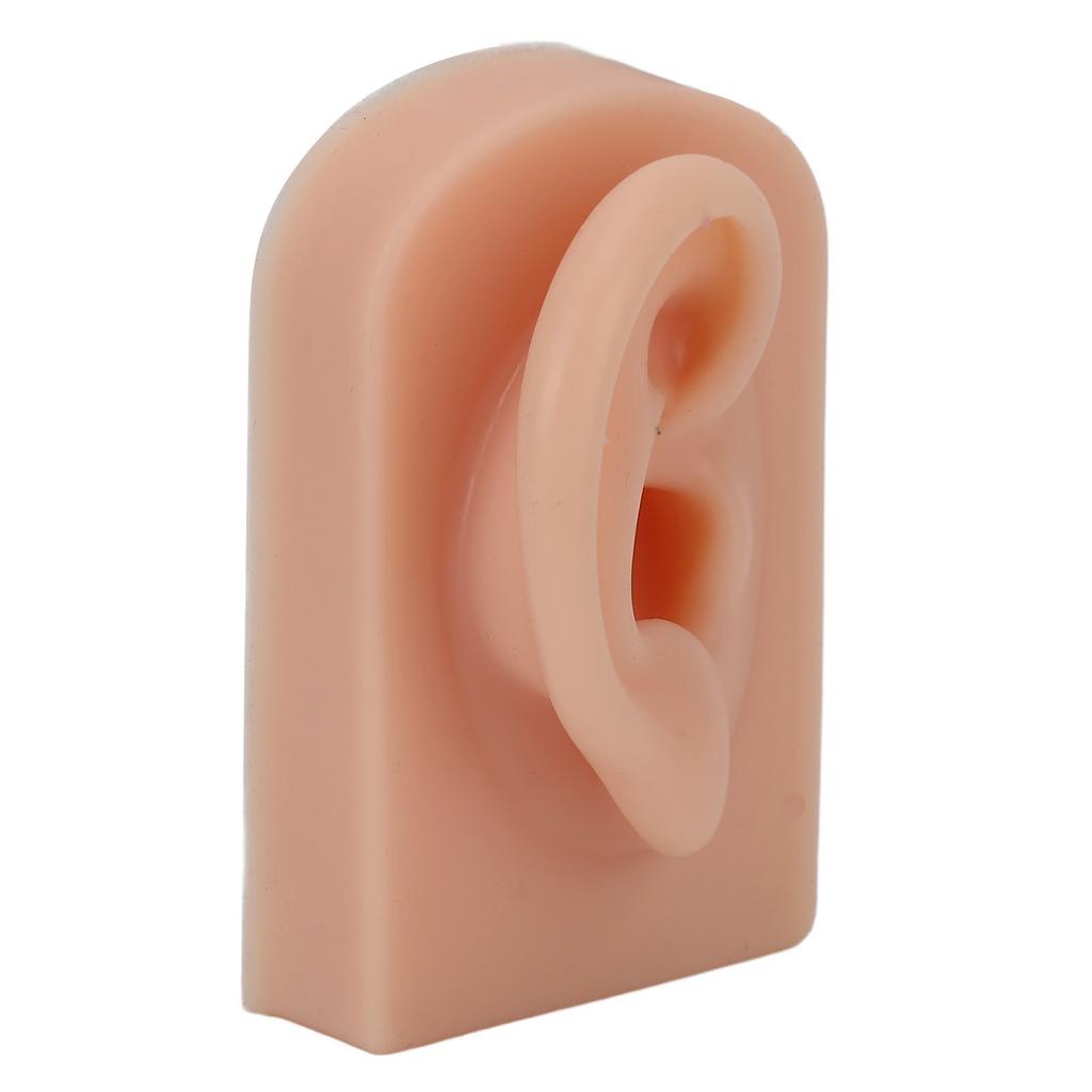Silicone Ear Model Soft Flexible Right Ear Reusable Human Ear Model for Ear Piercing Training And Earrings Display Dark
