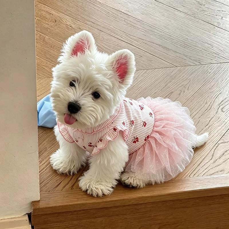 Haustier Hundekleid Floral Netz Tutu Rock Kleine Rassen Wie Bichon Frisé West Highland White Terrier