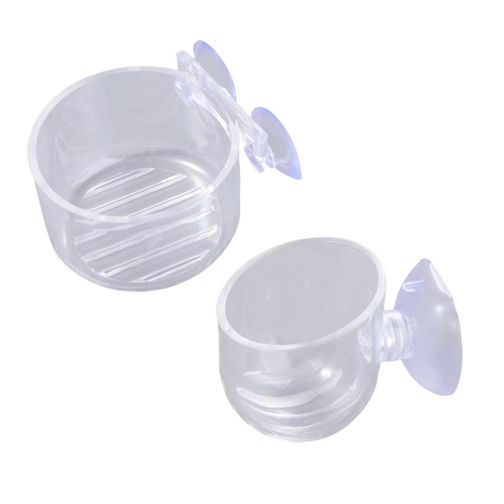 Hrănitor Mușchi Animal Decor Acvariu Recipient Plantă Mini Vază Grădinărit Vază Transparentă Raft Hrănă Cupă Acrilică Cupă Apă Iarbă