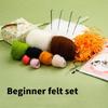Animal Succulent Plant Needle Felting Supply, Beginner Wool Felt Tool with Needle, Instruction, Wool Roving, Wood Handle