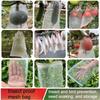 10pcs Fruit Protection Netting Bags, 30cm X 20cm with Drawstring, Garden Barrier for Protecting Fruits, Grow Bags for Plants