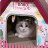 Cat Cardboard Box House Cat Nest Cat Scratch Board Integrated Vertical Box Large Cute Corrugated Paper Claw Grinding Supplies Ca