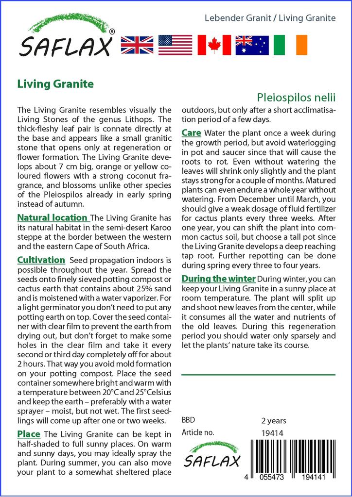 SAFLAX Lebender Granit – 40 Samen – Pleiospilos nelii