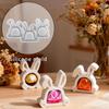 Easter Bunny Silicone Mold Mini Chocolate & Candle Making Kit for DIY