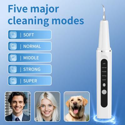 Teeth Plaque Remover with 1/4 Replaceable Heads Tartar Plaque Removal Dental Tool Home Travel Rechargeable Ultrasonic Electric Tooth Cleaner