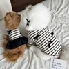 Bowknot Striped Puppy Hoodie Dress Pet Couple Clothing Dog Clothes For Small Dogs Chihuahua Poodle Dog Sweatshirt Shirt Apparels