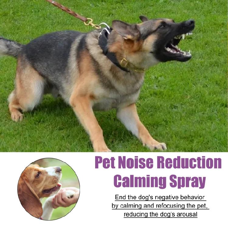 Hunde-Beruhigungs-Pheromon-Spray 50 ml für Tierarztbesuche und stressige Ereignisse
