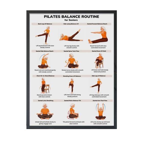 Chair Exercise Poster Seated Workout Chart Gentle Chair Yoga Movements Low Impact Exercise Guide for Seniors Beginners