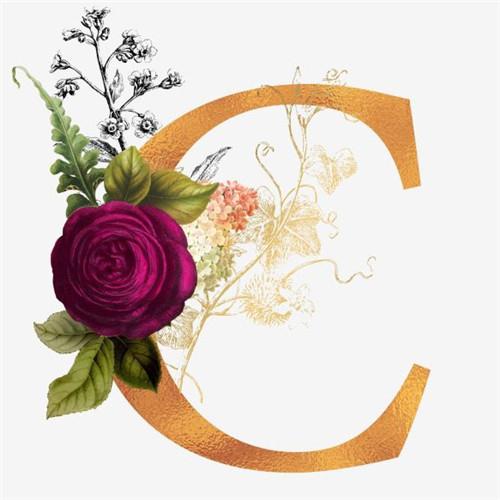 Diamond Painting Letter Cross Stitch Set Diamond Embroidery Text Needlework Mosaic Flower New Arrival 5D DIY Handicraft