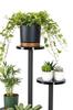 FINO Universal Flower Stand - Black, 4-tier Flower Stand for 6 Pots