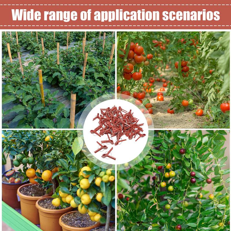 50PCS Plant Grafting Clip Plastic Gardening Tool For Cucumber Eggplant Watermelon Round Mouth Flat Mouth Anti-fall Trellis Clips