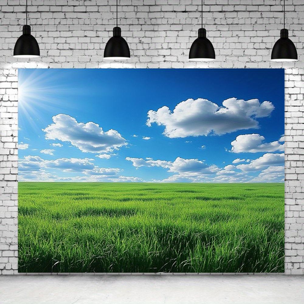 Polyester Lawn Background, Home Decoration, Parties, Weddings, Birthdays, Photo Props, Multi-purpose, Festival Wall Flags.