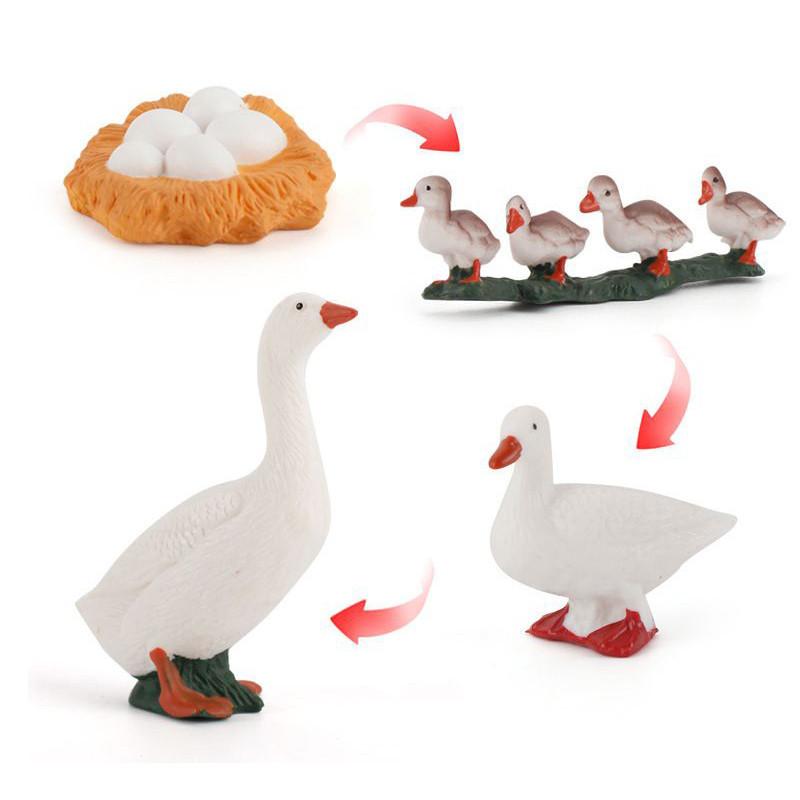 Enchanting Simulation Solid Turtle Chick Frog Animal Growth Cycle Montessori Teaching Aids For Unique Gifts And Decorative Accents