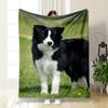 Border Collie Print Blanket Bedroom Blanket for Livingroom Couch Lunch Break Soft Throw for Friend's Festival Gift