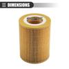 Motoforti Filter for BMW 330Ci 2001-2006, Paper, w/Gasket No.11427512300, Yellow, 1 Set