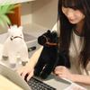 Cross-border Simulation Plush Pony: White Dragon, Black Horse, White Horse Dolls - Gift for Boys and Children