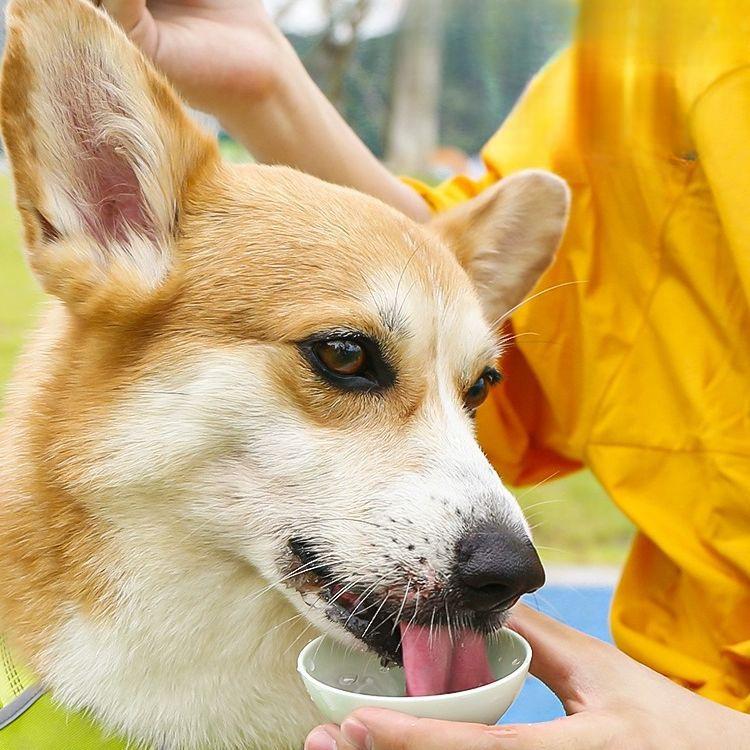 Outdoor Water Bottle, Portable for Dogs, Pet Kettle, Dog Water Dispenser, Outdoor Dog Walking, Drinking Supplies, Cat Companion Cup