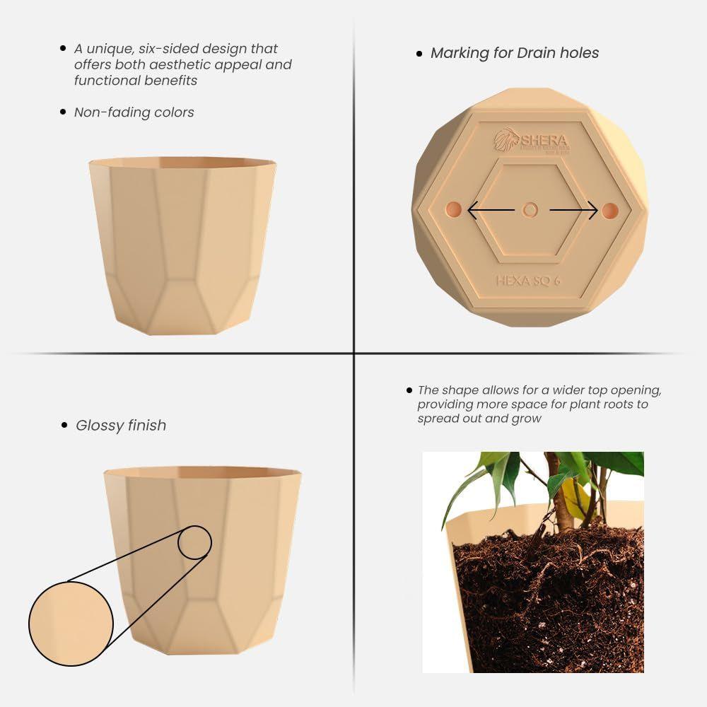 Hexa Plastic Flower Pot with Drainage Holes Round Planter Pot Suitable for Indoor Outdoor Kitchen Garden (Beige, 6 INCH - 3 Pcs)