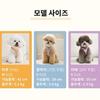 [Baibong] Puppy light bear harness 6 Colors