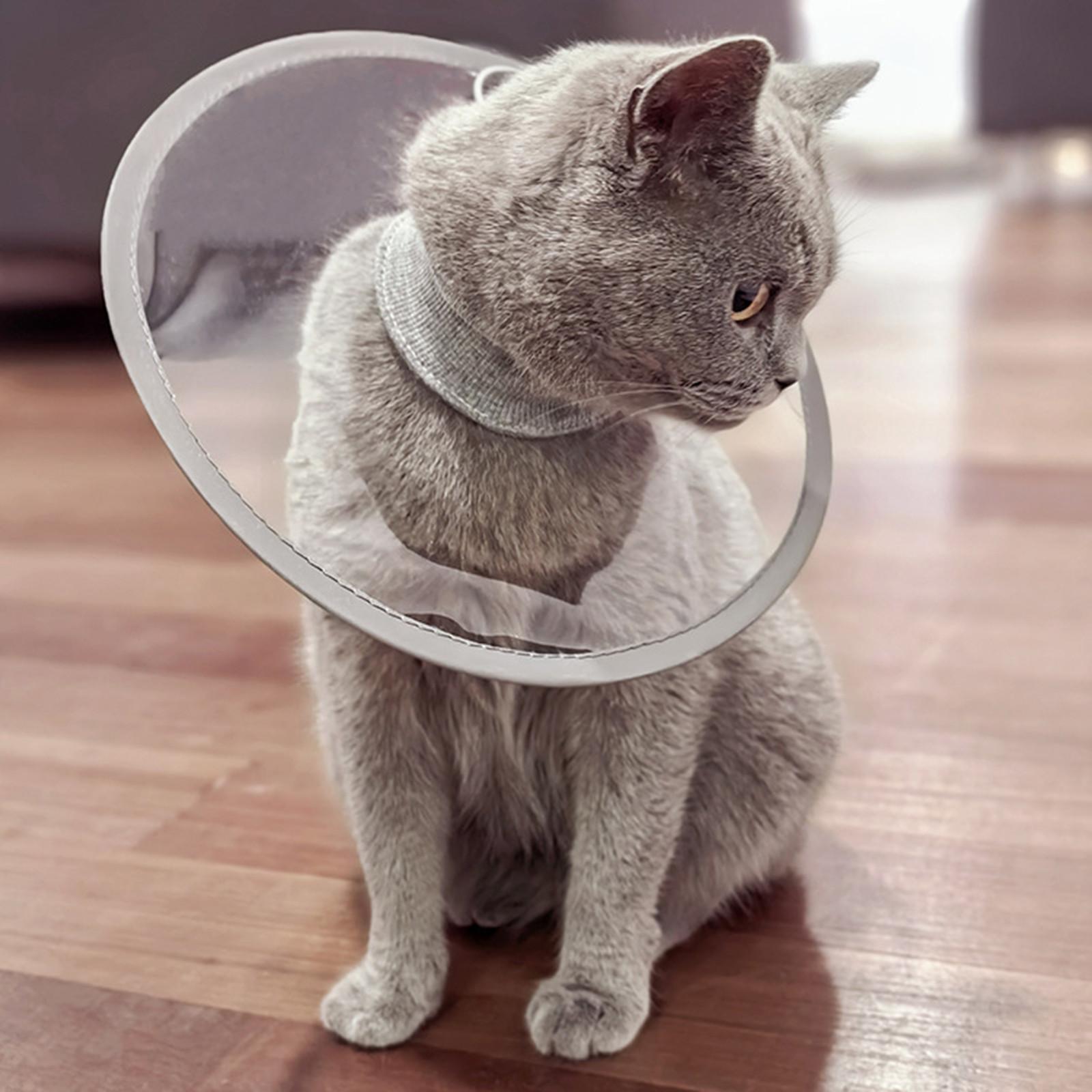 

Pet Cat Protective Collar Neck Recovery Cone Collar For Anti-Bite Lick Reusable Cat Dogs Lightweight Circle For Pet Supplies S серый