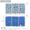 Tanaka Sangyo Imabari Towel Handkerchief Otta Half Towel Handkerchief 23-56 Tri-fold type Made in Japan Pink Approx. 25 x 12.5 cm OT23-0060-0956