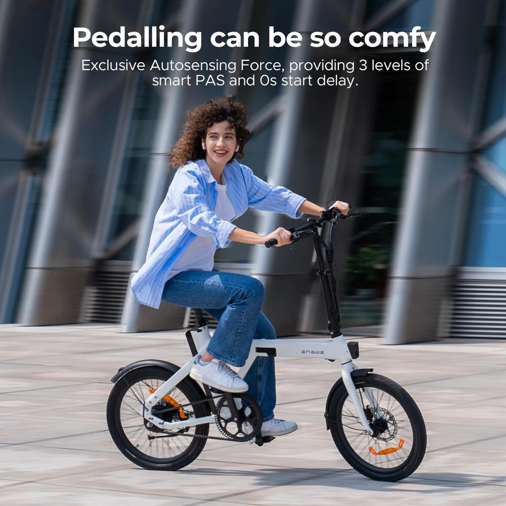 Electric Bike Foldable ENGWE P20 250W Motor City Electric Bicycle Top Speed 25Km/h 36V 9.6AH Max Range 100Km Load 120Kg