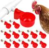 Abbeveratoio Automatico per Polli, Anatre e Quaglie: Set da 6 Pezzi con Bicchieri d'Acqua Spessi e Design a 3 Vie