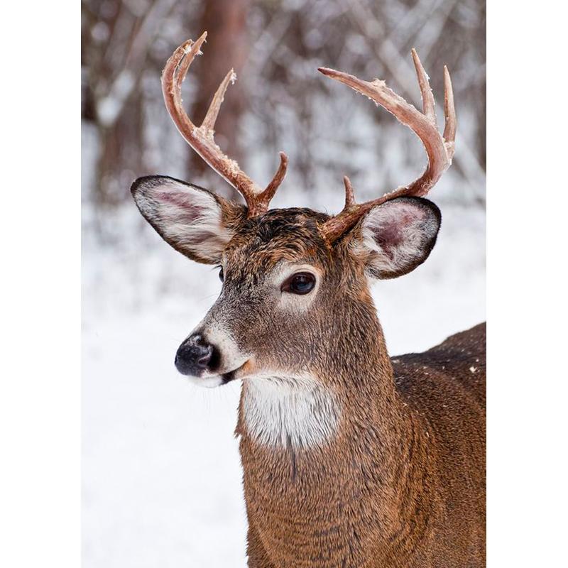 Deer DIY 5D Diamond Painting Full Round Drill Animal Diamond Embroidery Cross Stitch Mosaic Kits Wall Art Home Decor