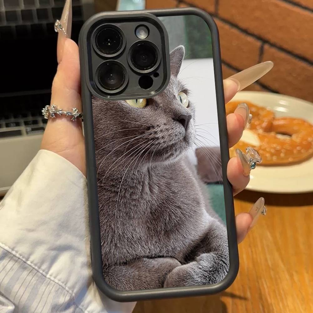 British Shorthair Cat Soft TPU Phone Case For Iphone 17 Air 16 15 14 13 12 11 Pro Max Plus Cover