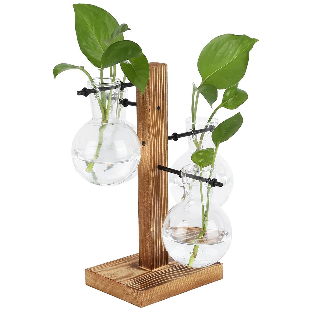 Innovative Hydroponic Vase with Wooden Stand Transparent Desktop Flower Vase for Home