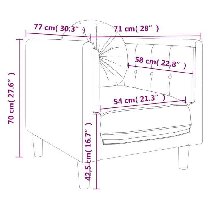 VidaXL Fauteuil avec Coussin, Chaise de Relaxation avec Accoudoirs et Dossier, Siège avec Pieds, Fauteuil TV de Salon, 372622