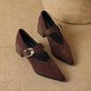 Autumn Deer Hide Velvet Mary Jane Shoes - French Retro Pointed-toe Shallow-toe High-heeled Single Shoes with Belt Buckle