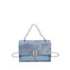 Trendy Small Chain Crossbody Bag For Women In Blue White Pink And Khaki Colors