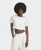 Baby Tee - White / Iw5478
