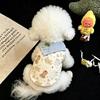 Dog clothes autumn and winter cartoon Bigbear cat Pomeranian puppet teddy small dog velvet warm pet vest