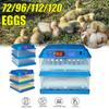 72/96/112/120 Eggs Adjustable Auto Turning Incubation Electronic Digital Incubator Hatcher Chicken Duck or Goose Dual Power 220V