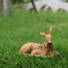1pc Deer Statue Figurines Yard Statue Garden Decorations ForIndoor And Outdoor Yard Animal Decoration Mini FawnPersonality Small