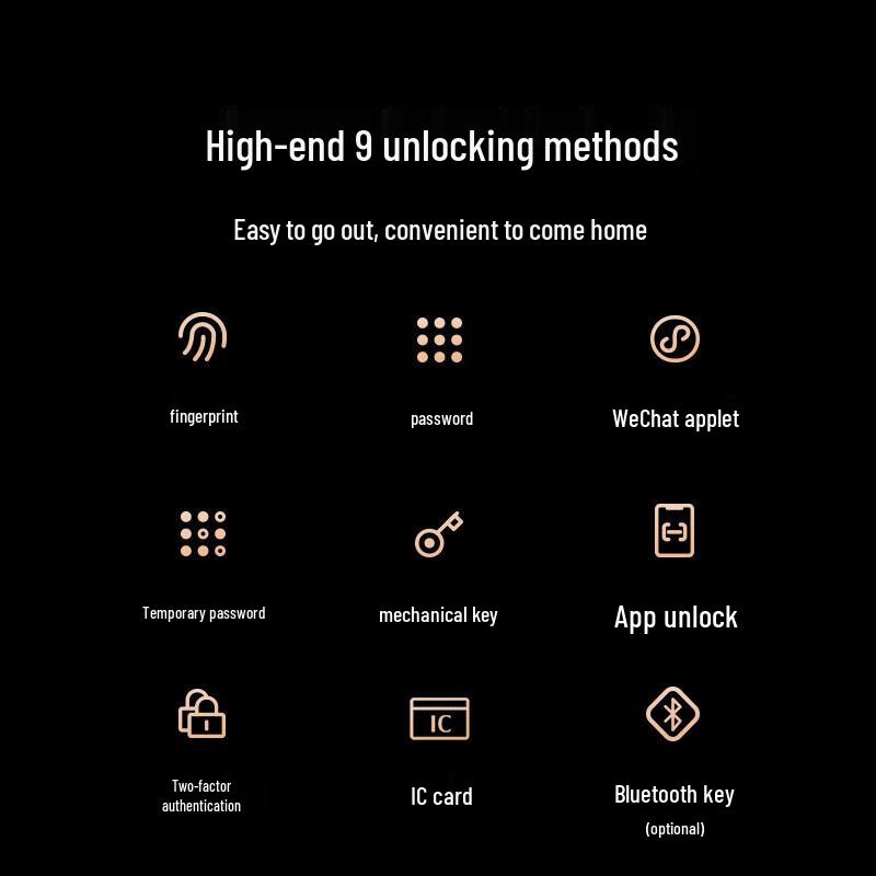 Desmann Longting T5 Smart Fingerprint Door Lock