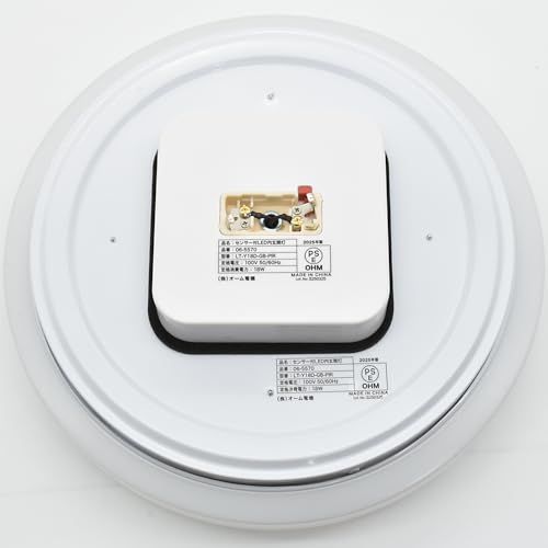 OHM LED Interior Entrance Light, Daylight | OHM Electric LT-Y18D-GB-PIR 06-5570