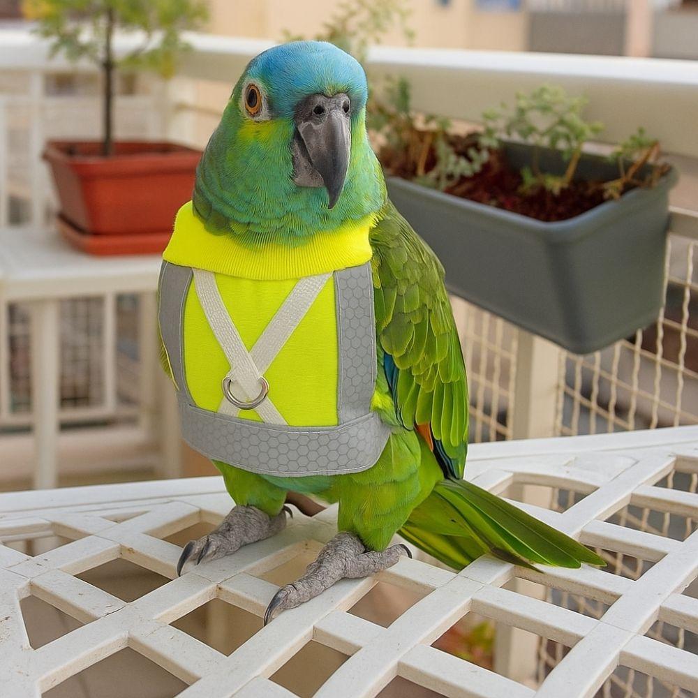 Sicherheits Papagei Fluggeschirr Verstellbares Vogelgeschirr Weste Flugtraining Seil Flugtraining