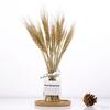 1Set Grass Ration Dried Flowers for Vases, Bouquet Bedroom Living Room Balcony Wedding