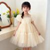 2023 Korean Princess Puff Sleeve Glitter Mesh Dress for Girls