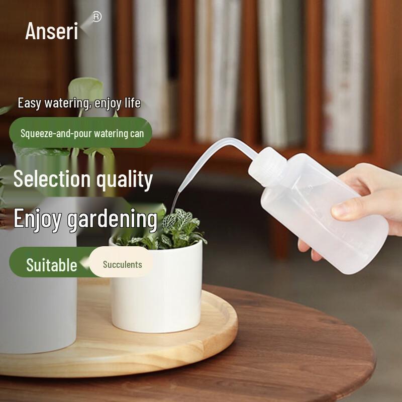 Anserway Pointed Spout Watering Can for Succulents
